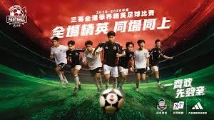 挪威世界杯大名单揭晓英超明星引领黑马之路